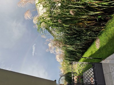 Holiday room Pass Thurn - Outdoor photo 22