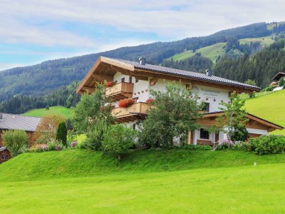 Apartment Panorama Lodge deluxe ***** in Hollersbach im Pinzgau - Apartment