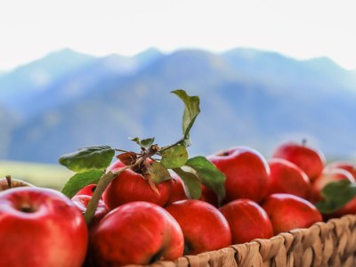 Apartment Panorama Lodge deluxe ***** - Features photo 42