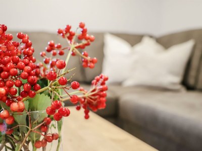 Apartment Panorama Lodge deluxe ***** - Features photo 44