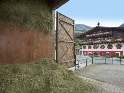 Holiday room Komfort Mehrbettzimmer - Outdoor photo 22