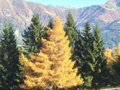 Apartment Appartement 1 - Outdoor photo 19