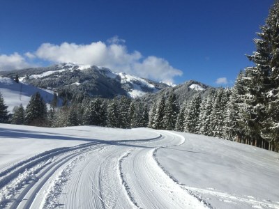 Apartment Appartement 2 - Outdoor photo 13