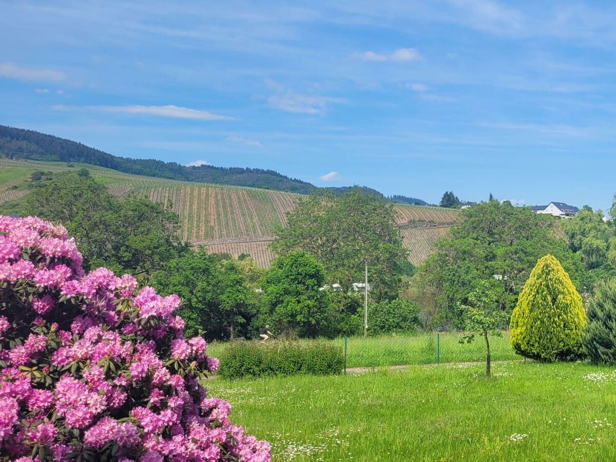 Apartment Appartement/Fewo, Bad, WC, 1 Schlafraum