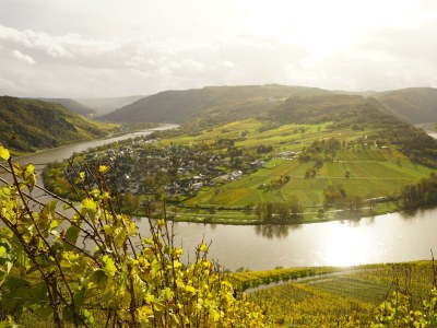 Apartment Mosel - Outdoor photo 9