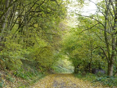 Apartment Mosel - Outdoor photo 12