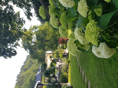 Holiday room Scheune - Outdoor photo 8