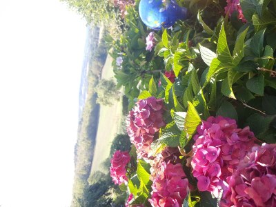 Holiday room Scheune - Outdoor photo 9