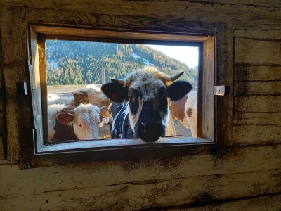 Apartment Appartement Schönwetter - Outdoor photo 11