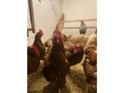 Apartment Appartement Schönwetter - Outdoor photo 13