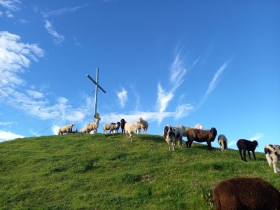 Apartment Appartement Schönwetter - Outdoor photo 16