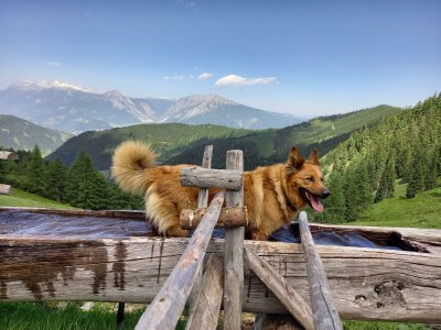 Apartment Appartement Schönwetter - Outdoor photo 20