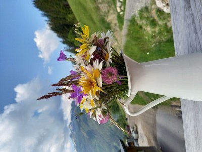 Apartment Appartement Schönwetter - Outdoor photo 35