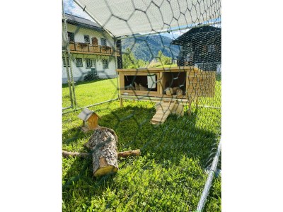 Holiday room Familienzimmer "de lux" - Outdoor photo 42