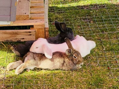 Holiday room Familienzimmer "de lux" - Outdoor photo 72