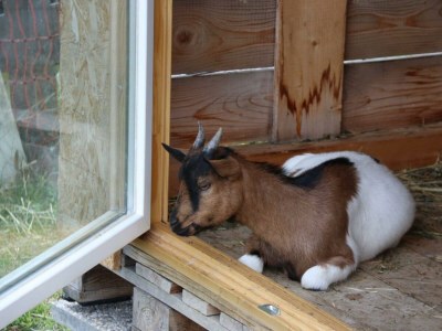 Holiday room Familienzimmer "de lux" - Outdoor photo 73