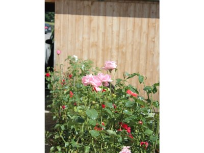 Apartment Appartement 3 - Outdoor photo 16