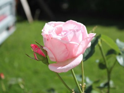 Apartment Appartement 3 - Outdoor photo 17