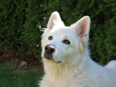 Apartment Appartement 3 - Outdoor photo 18