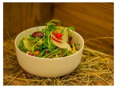 Apartment Kulmberg 1 - Outdoor photo 13