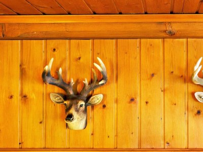 Apartment Walserhaus - Outdoor photo 36