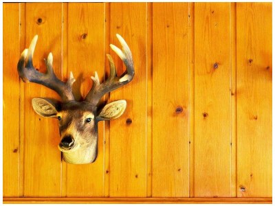 Apartment Walserhaus - Outdoor photo 82