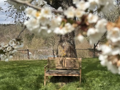 Apartment 4-Bett-Ferienhaus EifelChalet, 2 Schlafräume - Outdoor photo 17