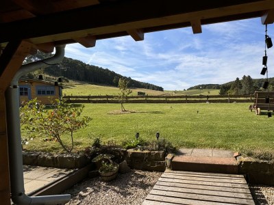 Apartment 4-Bett-Ferienhaus EifelChalet, 2 Schlafräume - Outdoor photo 18