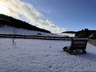 Apartment 4-Bett-Ferienhaus EifelChalet, 2 Schlafräume - Outdoor photo 22