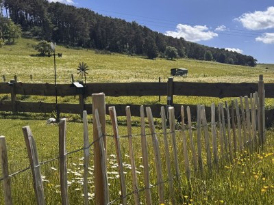 Apartment 4-Bett-Ferienhaus EifelChalet, 2 Schlafräume - Outdoor photo 27