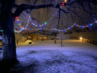 Apartment 4-Bett-Ferienhaus EifelChalet, 2 Schlafräume - Outdoor photo 30