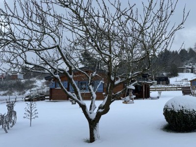 Apartment 4-Bett-Ferienhaus EifelChalet, 2 Schlafräume - Outdoor photo 31