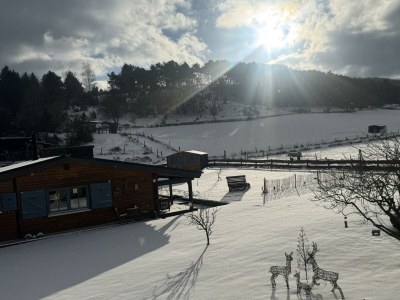 Apartment 4-Bett-Ferienhaus EifelChalet, 2 Schlafräume - Outdoor photo 33