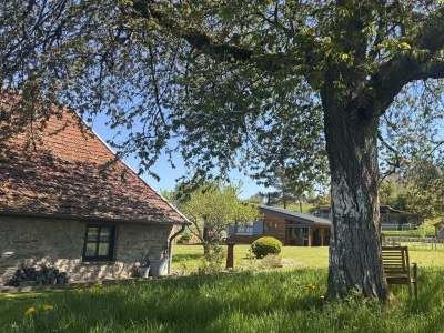 Apartment 4-Bett-Ferienhaus EifelChalet, 2 Schlafräume - Features photo 65