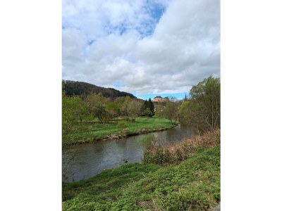 Apartment 2-Bett-Ferienwohnung Dusche/WC, für 1-3 Personen - Outdoor photo 32