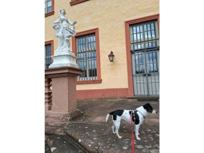 Apartment 2-Bett-Ferienwohnung Dusche/WC, für 1-3 Personen - Outdoor photo 36