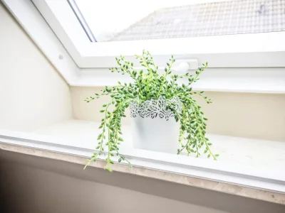 Holiday apartment Suite Deichherz | Deichblick - Features photo 27