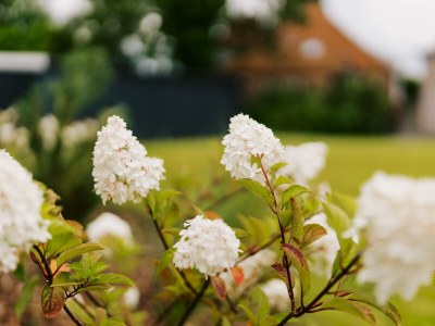 Holiday apartment de Diek - Suite 1 | Direct dike location - Outdoor photo 4