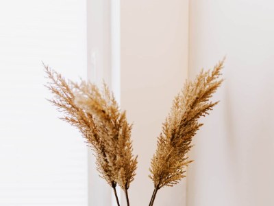 Holiday apartment de Diek - Suite 3 | Seitliche Deichlage - Features photo 17