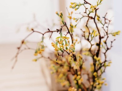 Holiday apartment de Diek - Suite 3 | Seitliche Deichlage - Features photo 19