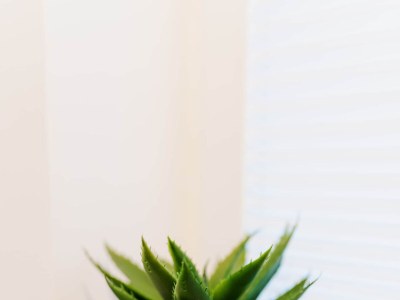 Holiday apartment de Diek - Suite 3 | Seitliche Deichlage - Features photo 27