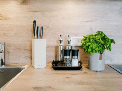 Holiday apartment de See - Suite 3 | Seitliche Deichlage - Features photo 5