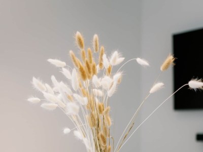 Holiday apartment de See - Suite 1 | Direkte Deichlage - Features photo 36