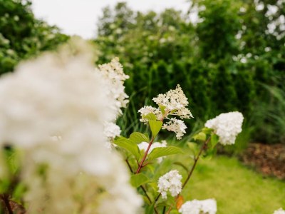 Holiday apartment de See - Suite 1 | Direkte Deichlage - Environment photo 43