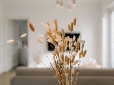 Holiday apartment Küsten Suite de See - Suite 2 | Direkte Deichlage - Features photo 15