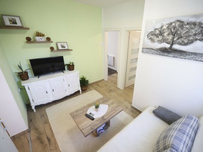 Apartment Apartment Rustica - Two bedroom apartment - Features photo 22