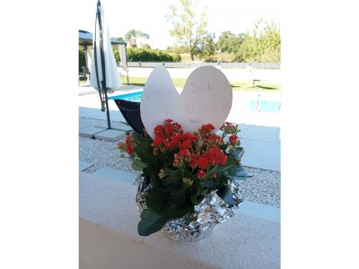 Holiday house Kuca Menta - Outdoor photo 9