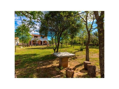 Holiday house DUMENDZIC - Outdoor photo 8