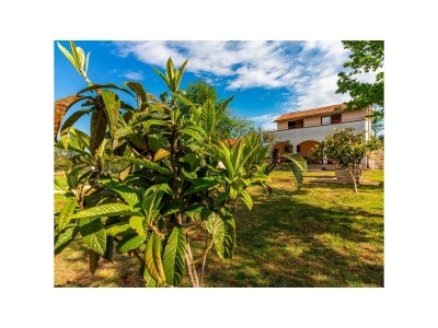 Holiday house DUMENDZIC - Outdoor photo 9