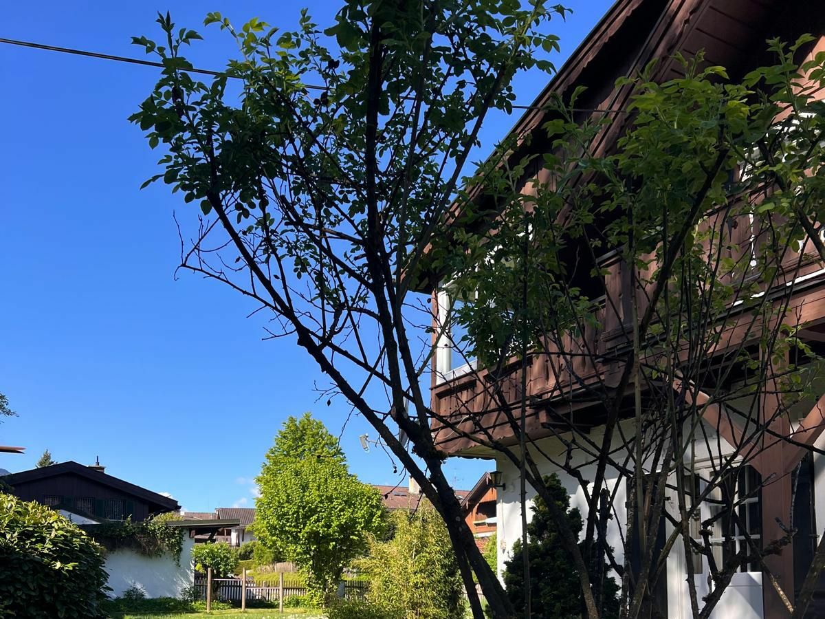 Holiday house Ferienhaus Waxenstein